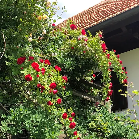 Kellerstoeckl Am Rosenberg *